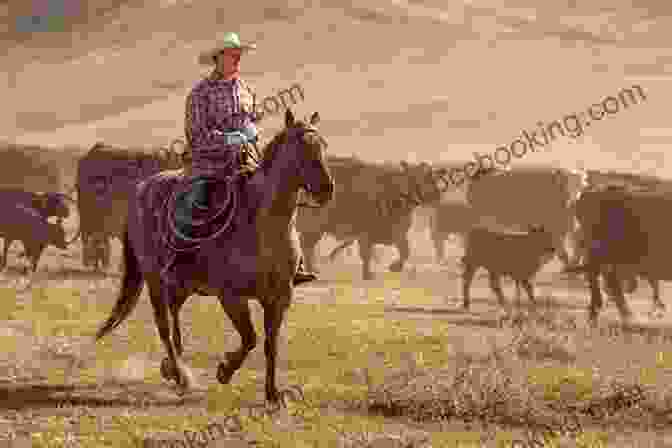 A Cowboy On Horseback, Driving A Herd Of Cattle We Pointed Them North: Recollections Of A Cowpuncher