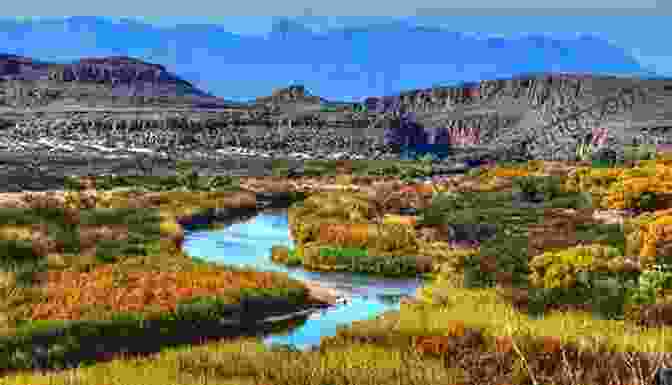A Panoramic View Of The Big Bend Landscape, With Mountains, Rivers, And Desert Vegetation. The Big Bend Cookbook: Recipes And Stories From The Heart Of West Texas (American Palate)