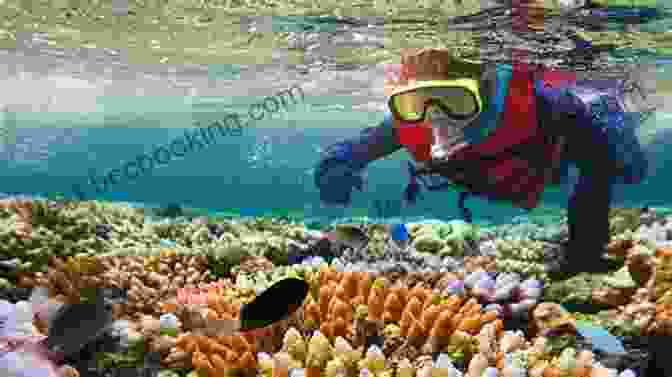 A Photo Of A Diver Exploring A Coral Reef Exploring Coastal Mississippi: A Guide To The Marine Waters And Islands