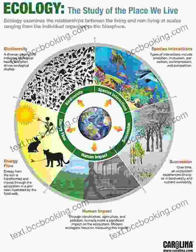A Vibrant Illustration Depicting The Interconnectedness Of Plant And Animal Species In An Ecosystem The Bumper Of Nature: A User S Guide To The Great Outdoors