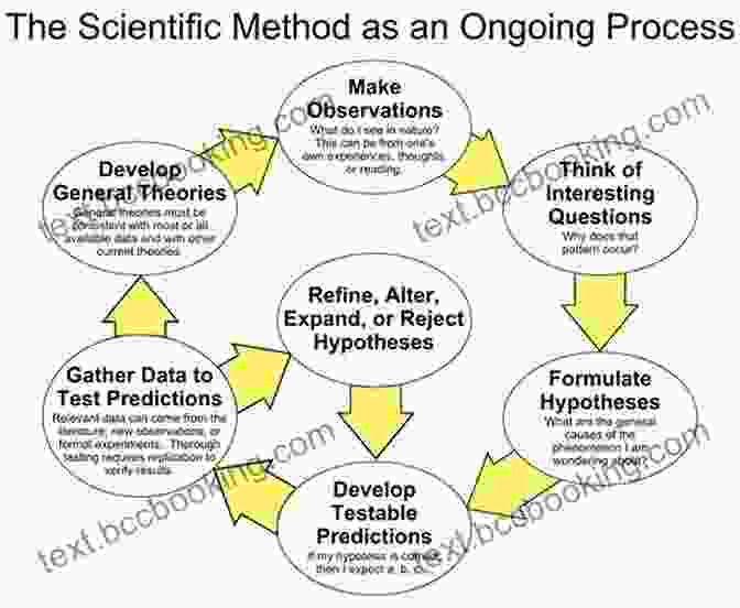 An Image Depicting The Process Of Scientific Inquiry, From Observation To Theory Formation Theory And Reality: An To The Philosophy Of Science (Science And Its Conceptual Foundations Series)