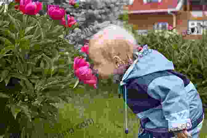 Baby Smelling A Red Flower With Interest Baby Sense: Understand Your Baby S Sensory World The Key To A Contented Baby
