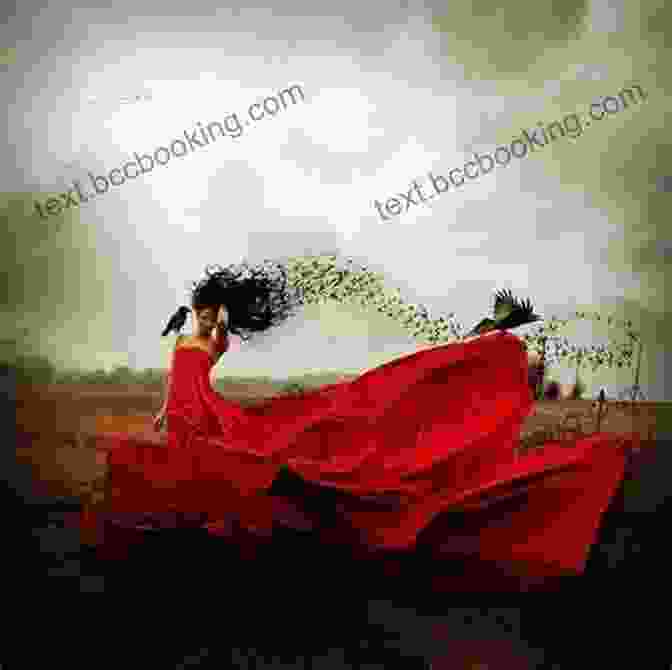 Dressed: Philosophy Of Clothes Book Cover Featuring A Woman In A Flowing Dress Dressed: A Philosophy Of Clothes