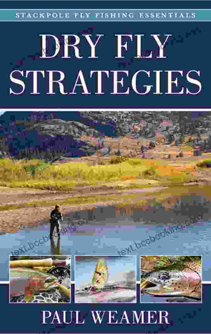 Dry Fly Strategies Book Cover Dry Fly Strategies (Stackpole Fly Fishing Essentials 1)