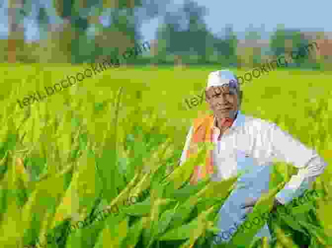 Image Of A Farmer In A Field, Representing Agricultural Law Food Systems Law: An For Non Lawyers