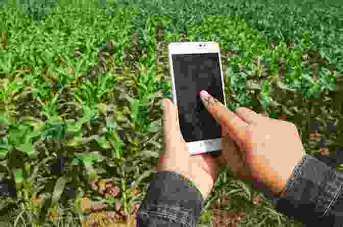 Image Of A Farmer Using A Mobile Phone In A Field Re Inventing Africa S Development: Linking Africa To The Korean Development Model