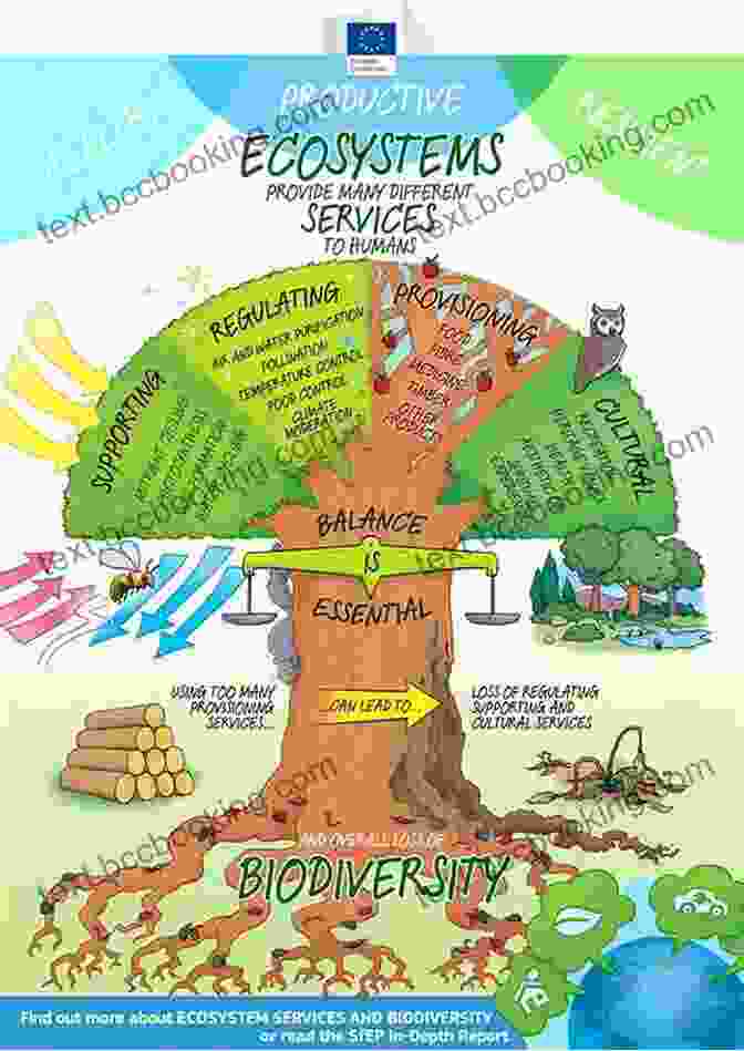 Image Of A Forest, Representing The Role Of Environmental Law In Food Systems Food Systems Law: An For Non Lawyers
