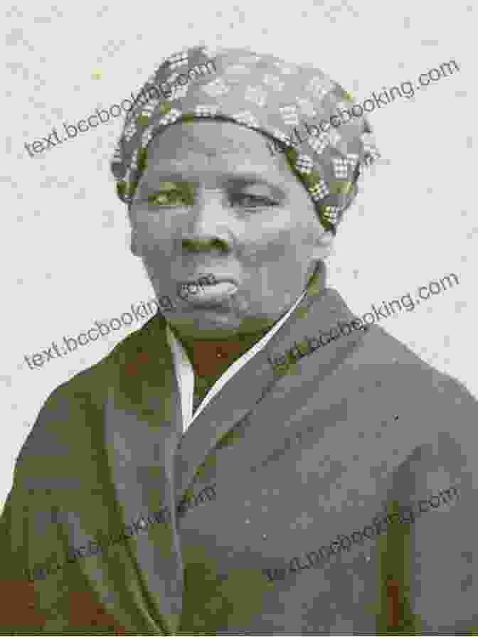 Portrait Of Harriet Tubman I Am Harriet Tubman (Xavier Riddle And The Secret Museum)