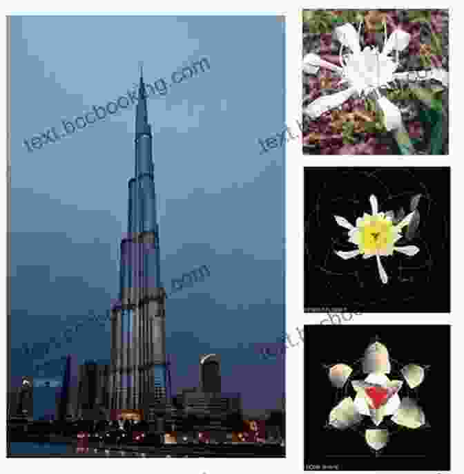 The Burj Khalifa, An Architectural Marvel Inspired By The Hymenocallis Desert Flower. Buildings Inspired By Nature Mary Boone