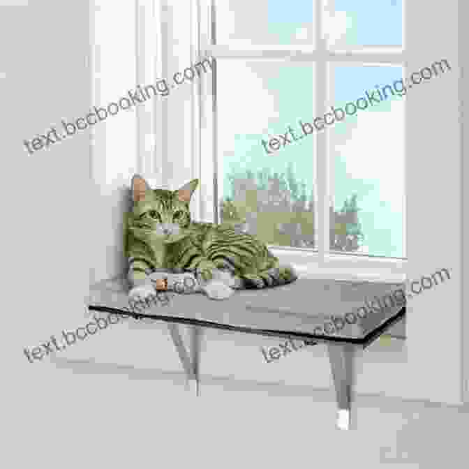 To Be Cat Book Cover, Featuring A Cat Perched On A Windowsill To Be A Cat Matt Haig