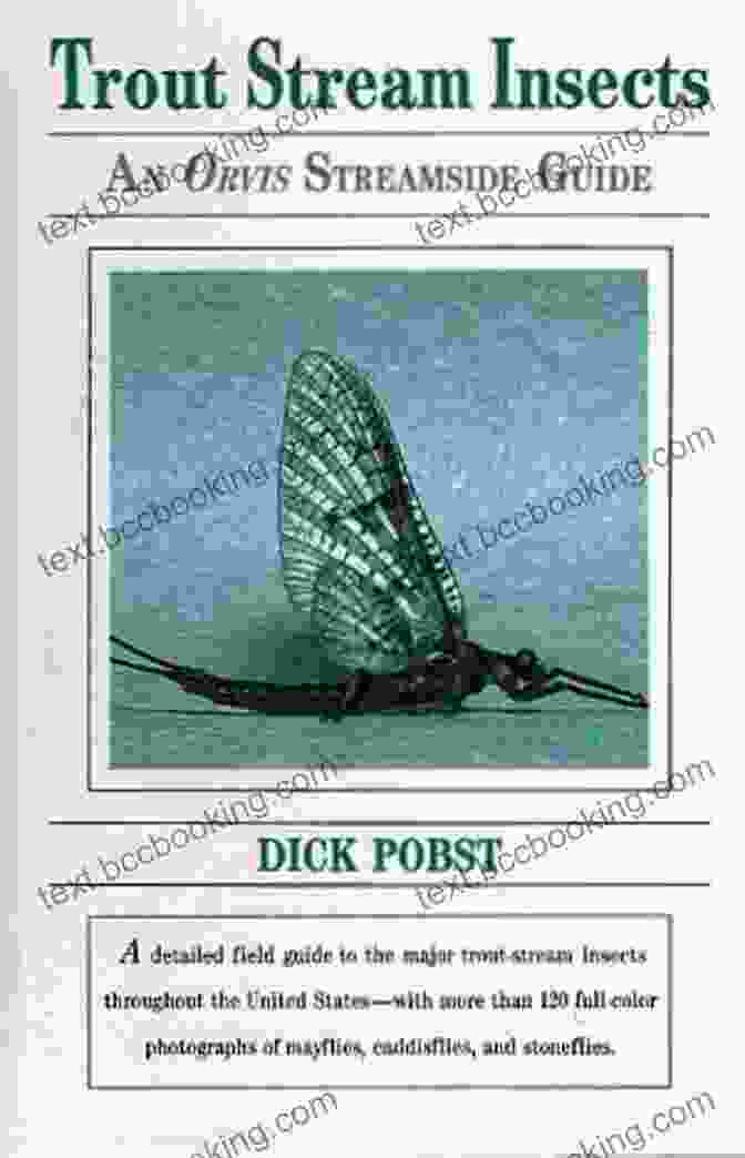 Trout Stream Insect Identification The Bug Book: A Fly Fisher S Guide To Trout Stream Insects