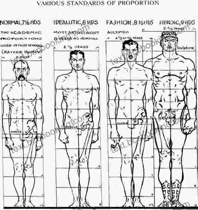 Using Measurements And Proportions To Accurately Represent The Human Form Aspects Of How To Draw: How Perspectives Work And How To Draw Using Them: How To Draw People Step By Step