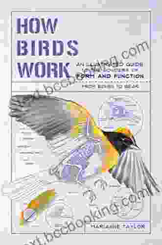 How Birds Work: An Illustrated Guide To The Wonders Of Form And Function From Bones To Beak (How Nature Works)