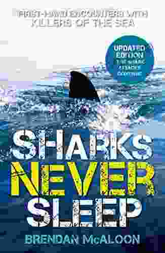 Sharks Never Sleep: First Hand Encounters With Killers Of The Sea