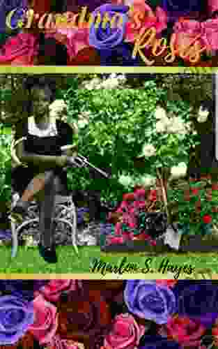 Grandma S Roses Marlon S Hayes