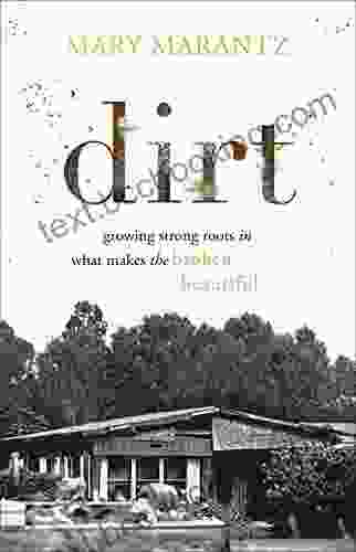 Dirt: Growing Strong Roots In What Makes The Broken Beautiful