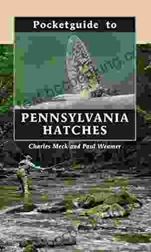 Pocketguide To Pennsylvania Hatches Paul Weamer