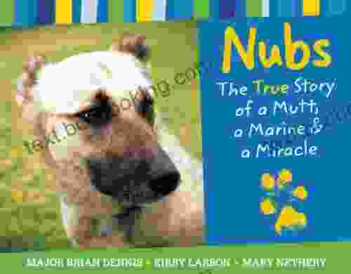 Nubs: The True Story Of A Mutt A Marine A Miracle