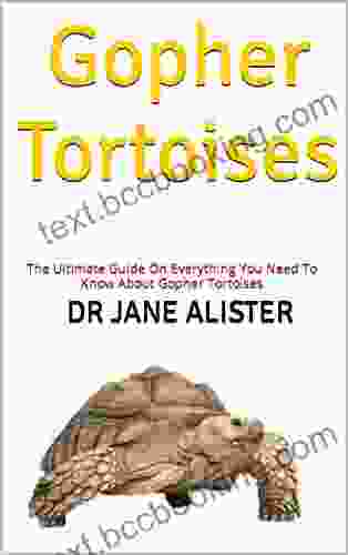 Gopher Tortoises : The Ultimate Guide On Everything You Need To Know About Gopher Tortoises