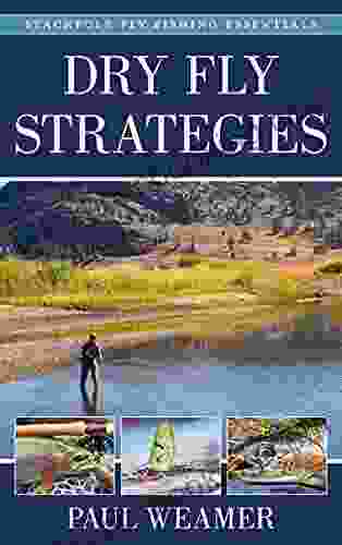 Dry Fly Strategies (Stackpole Fly Fishing Essentials 1)