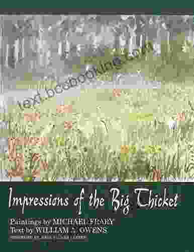 Impressions Of The Big Thicket (Blaffer Of Southwestern Art)