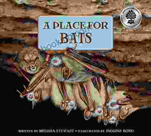 A Place For Bats (A Place For 5)