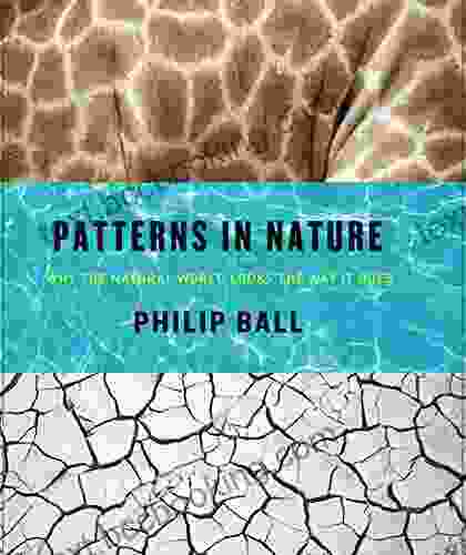 Patterns In Nature: Why The Natural World Looks The Way It Does