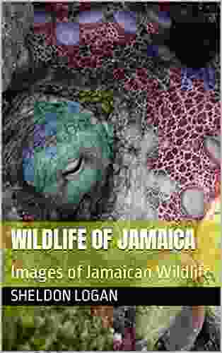Wildlife Of Jamaica: Images Of Jamaican Wildlife